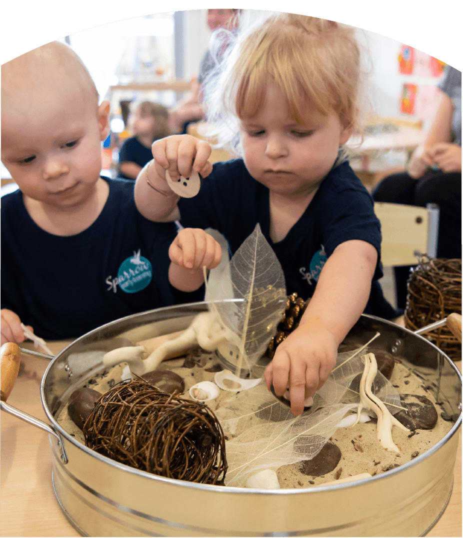Best Early Learning Environment For Kids - Sparrow Early Learning Centre